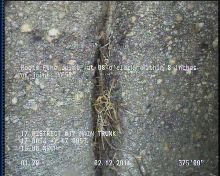 Roots Fine Joint, at 08 o'clock, within 8 inches of joint: YESR