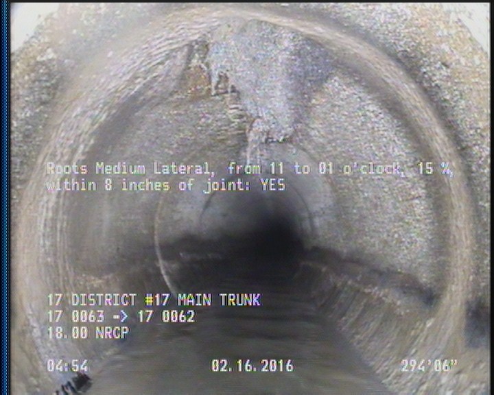 Roots Medium Lateral, from 11 to 01 o'clock, 15 %, within 8 inches of joint: YES