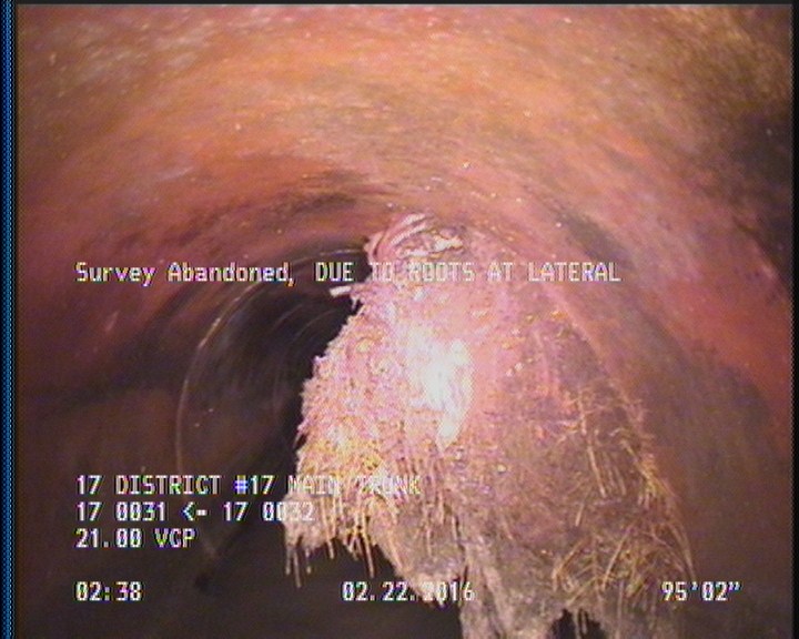 Survey Abandoned - DUE TO ROOTS AT LATERAL