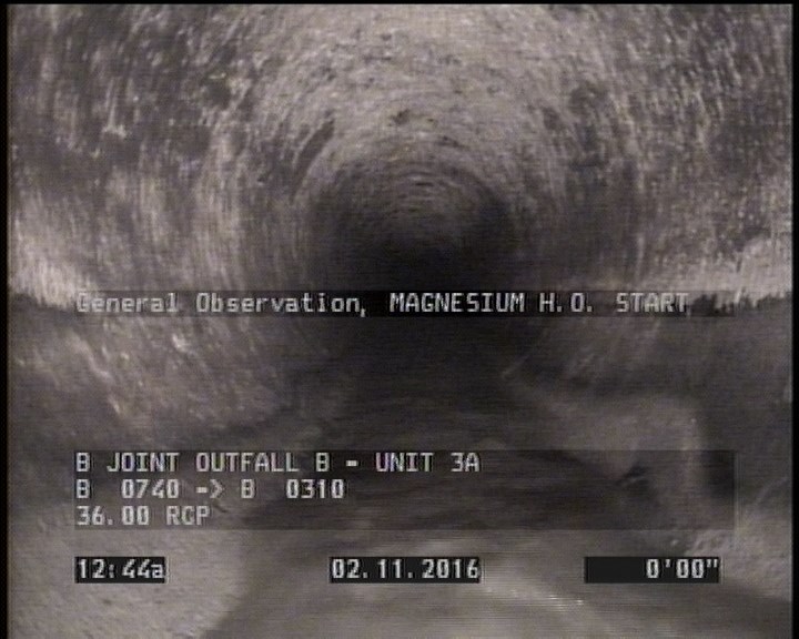 General Observation - MAGNESIUM H.O. START