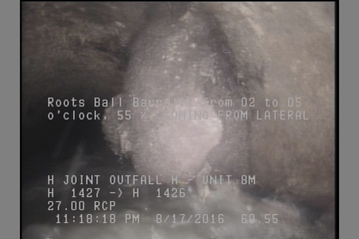 Roots Ball Barrell, from 02 to 05 o'clock, 55 % - COMING FROM LATERAL