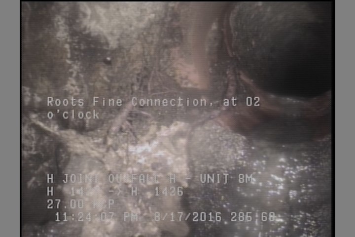 Roots Fine Connection, at 02 o'clock