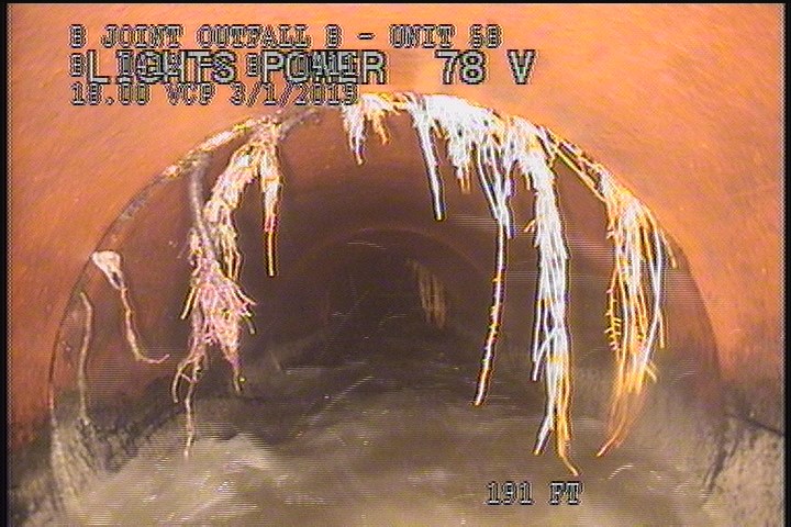 Roots Medium Joint, from 09 to 03 o'clock, 10 %, within 8 inches of joint: YESR