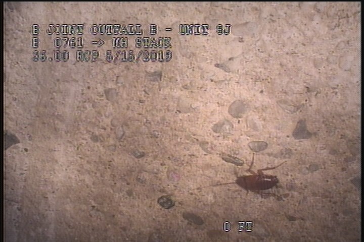 Surface Aggregate Visible, from 08 to 04 o'clock, within 8 inches of joint: YES