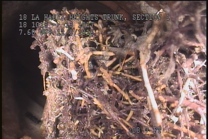 Tap Factory Made Defective, at 09 o'clock, -, within 8 inches of joint: NO, 6" - ACTIVE, 70% ROOTS, UNSEALED