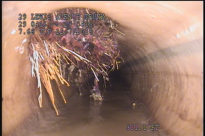 Roots Medium Lateral, from 09 to 12 o'clock, 20 %, within 8 inches of joint: NO