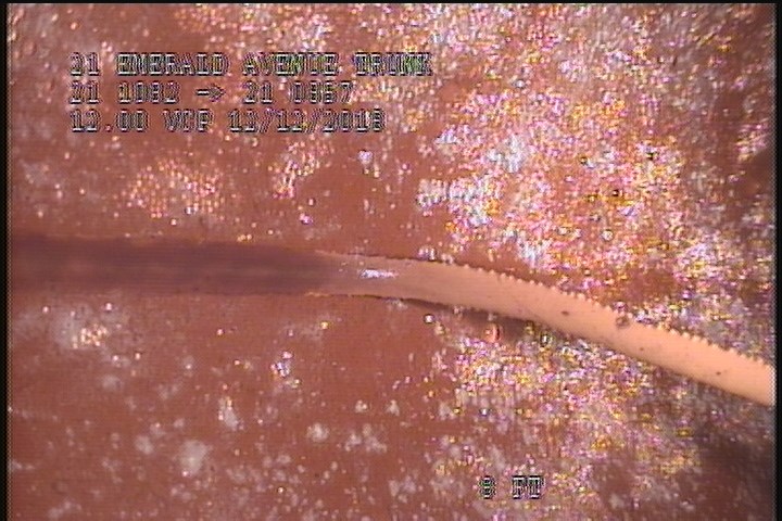 Roots Fine Joint, at 12 o'clock, within 8 inches of joint: YESR