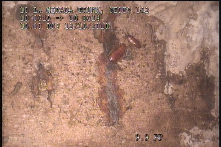 Surface Reinforcement Visible, from 11 to 01 o'clock, within 8 inches of joint: NO - CIRCUM REBAR
