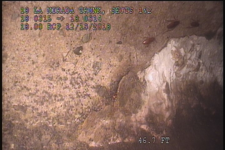 Surface Spalling, from 10 to 02 o'clock, within 8 inches of joint: NO - PEELING CONCRETE