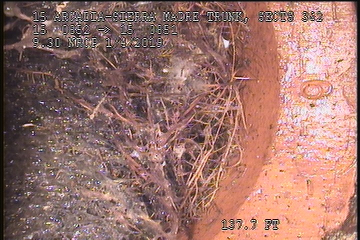 Tap Factory Made, at 11 o'clock, -, within 8 inches of joint: NO, 2" - Roots 100%