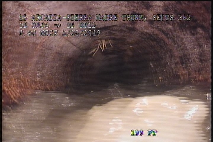 Roots Fine Lateral, at 11 o'clock - 5%