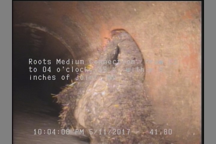 Roots Medium Connection, from 02 to 04 o'clock, 15 %, within 8 inches of joint: NO
