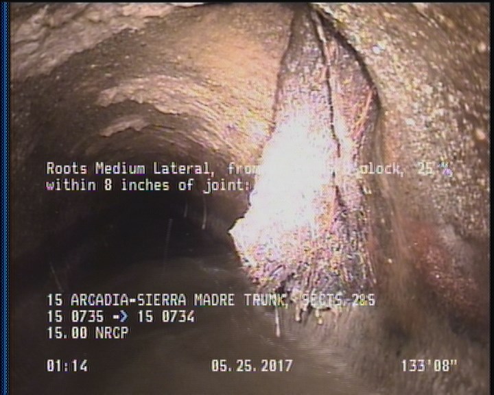 Roots Medium Lateral, from 01 to 05 o'clock, 10 %, within 8 inches of joint: YES