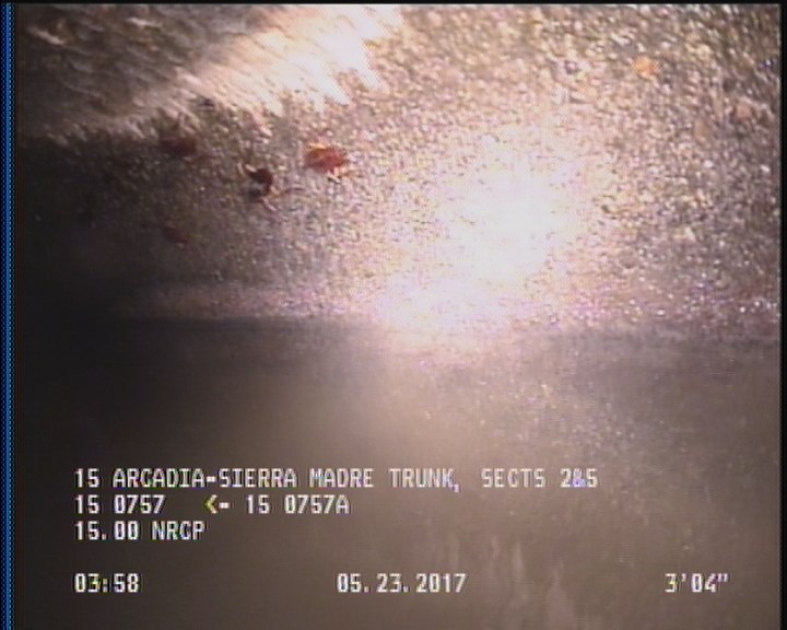 Deposits Attached Grease, 5 %of cross sectional area, from 03 to 09 o'clock, , within 8 inches of joint: YES, Start