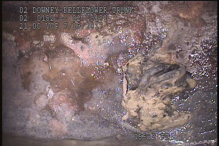 Deposits Attached Grease, 5 %of cross sectional area, at 03 o'clock, , within 8 inches of joint: YES