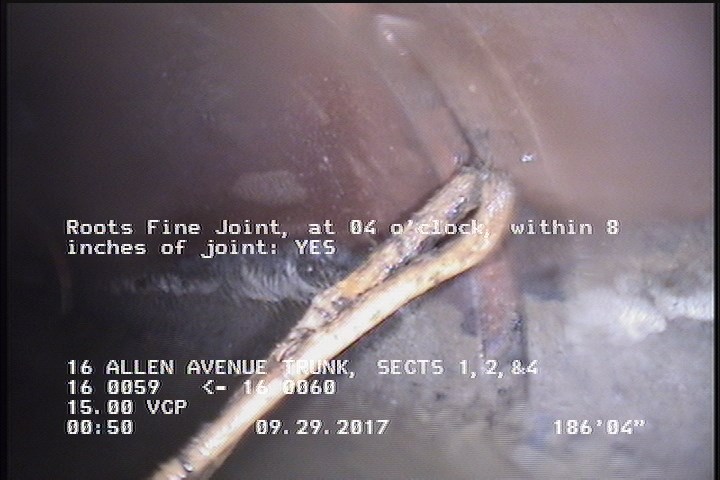 Roots Fine Joint, at 04 o'clock, within 8 inches of joint: YES