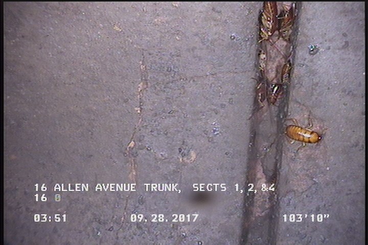 Crack Multiple, from 08 to 04 o'clock, within 8 inches of joint: YES, Start