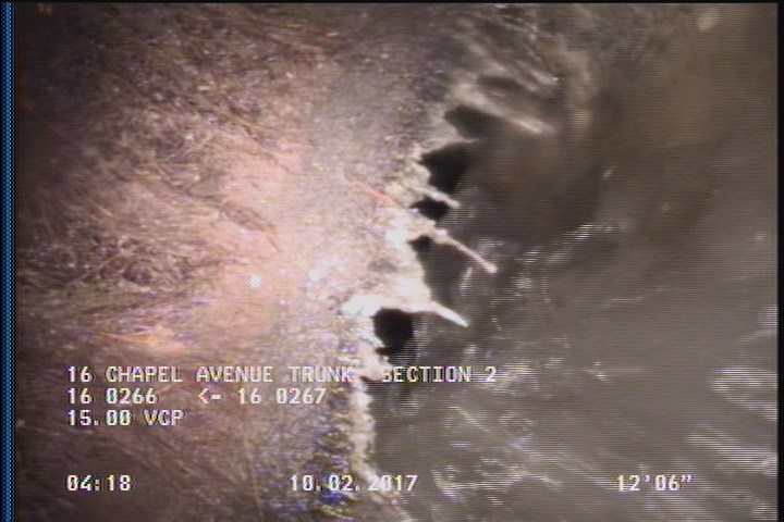Survey Abandoned - A/S SEVERE ROOTS