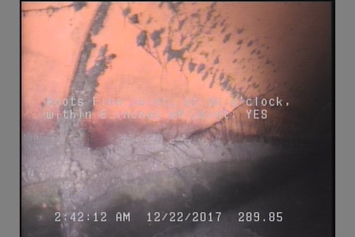 Roots Fine Joint, at 08 o'clock, within 8 inches of joint: YES