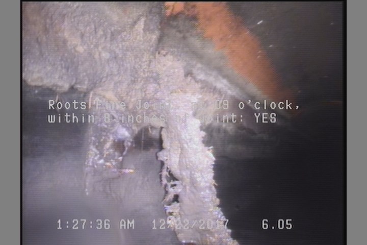 Roots Fine Joint, at 09 o'clock, within 8 inches of joint: YES