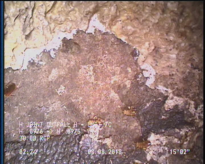 Surface Aggregate Visible, from 08 to 04 o'clock, within 8 inches of joint: YES, Start