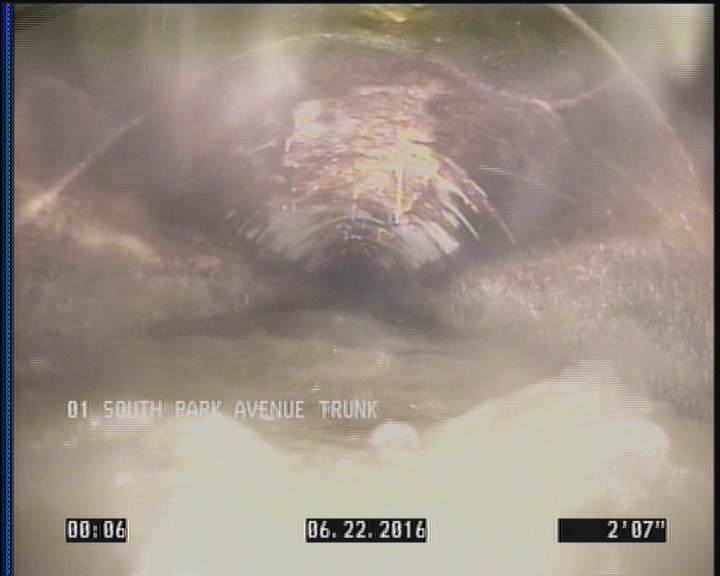 Deposits Attached Grease, 5 %of cross sectional area, from 07 to 05 o'clock, , within 8 inches of joint: YES, Start