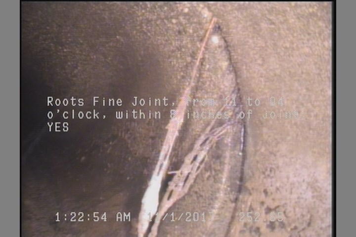 Roots Fine Joint, from 11 to 04 o'clock, within 8 inches of joint: YES