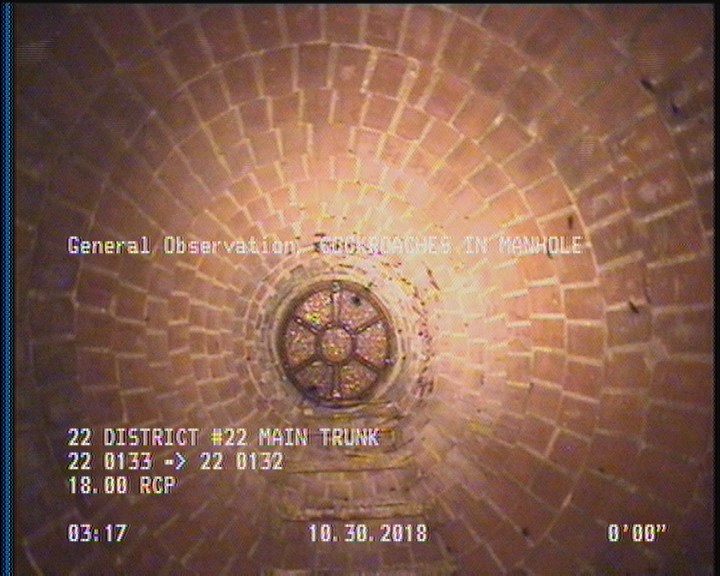 General Observation - COCKROACHES IN MANHOLE