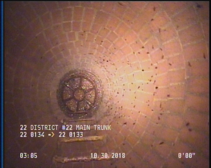 General Observation - COCKROACHES IN MANHOLE
