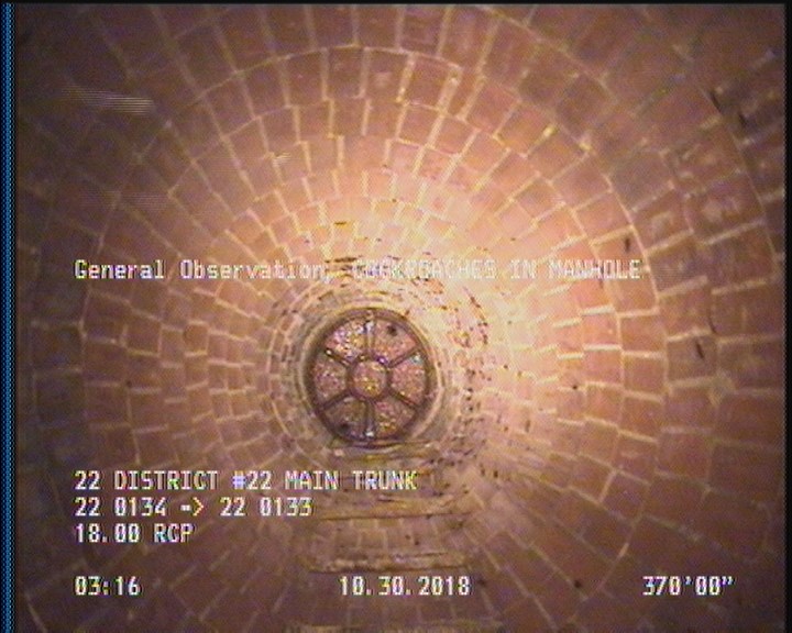General Observation - COCKROACHES IN MANHOLE