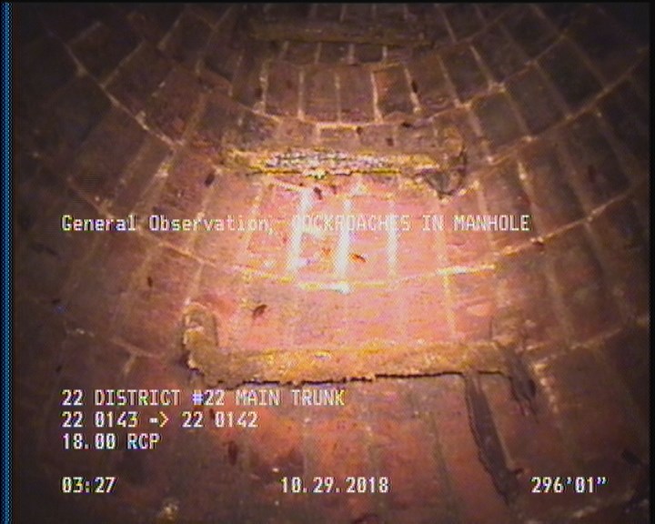 General Observation - COCKROACHES IN MANHOLE