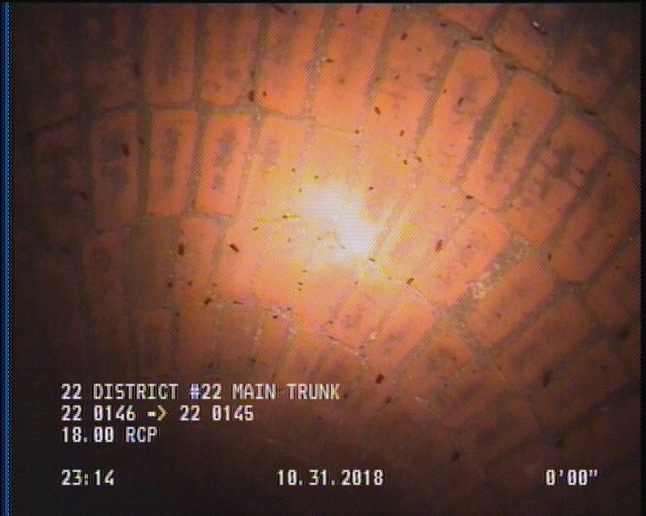 General Observation - COCKROACHES IN MANHOLE
