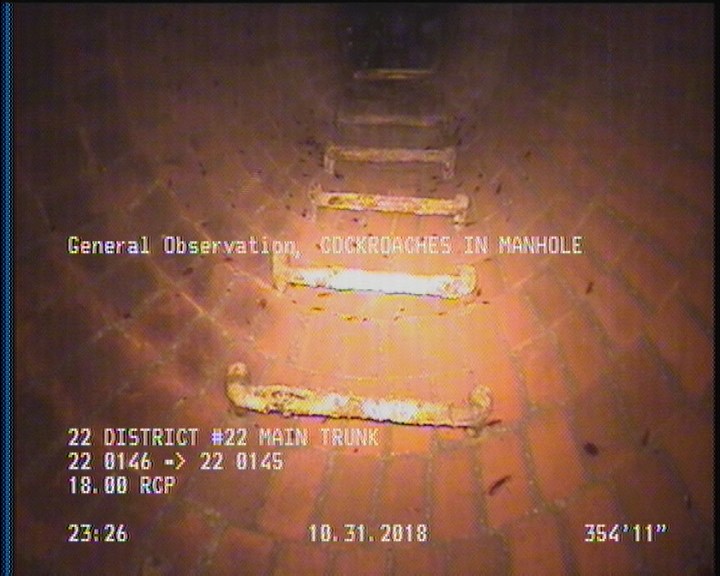 General Observation - COCKROACHES IN MANHOLE