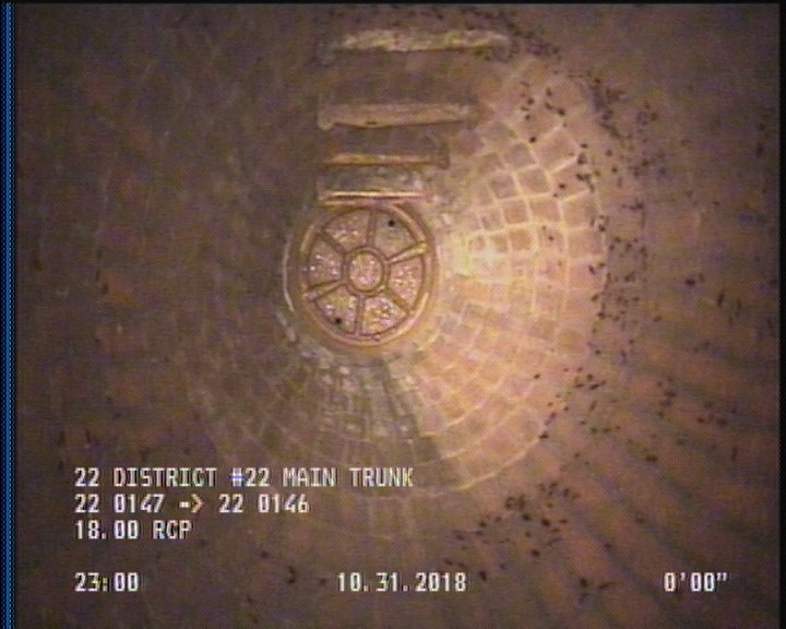 General Observation - COCKROACHES IN MANHOLE