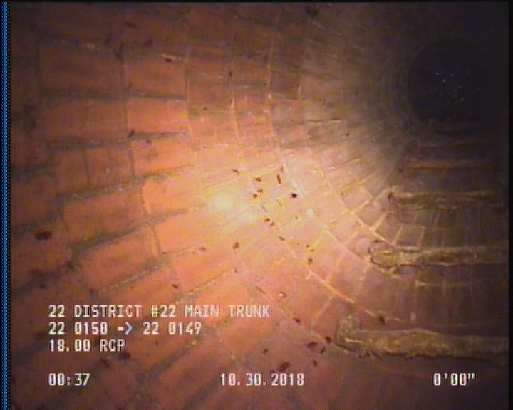 General Observation - COCKROACHES IN MANHOLE