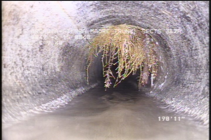 Roots Medium Lateral, from 09 to 04 o'clock, 35 %, within 8 inches of joint: NO