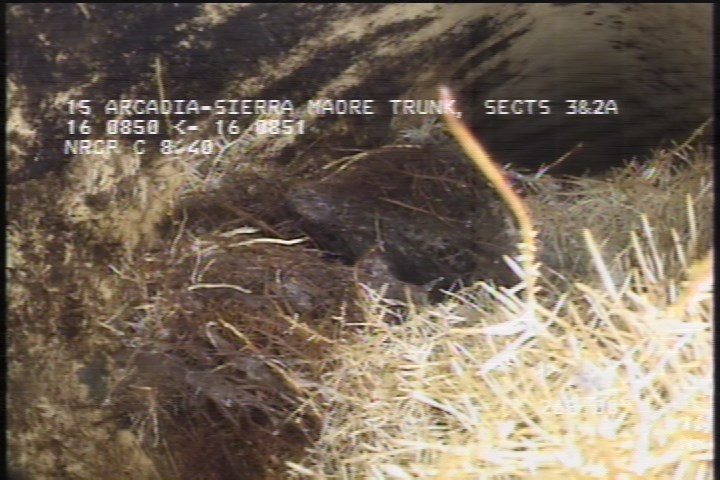 Tap Break-In Defective, at 11 o'clock, -, , within 8 inches of joint: NO, 6" - OPEN-100% ROOTS