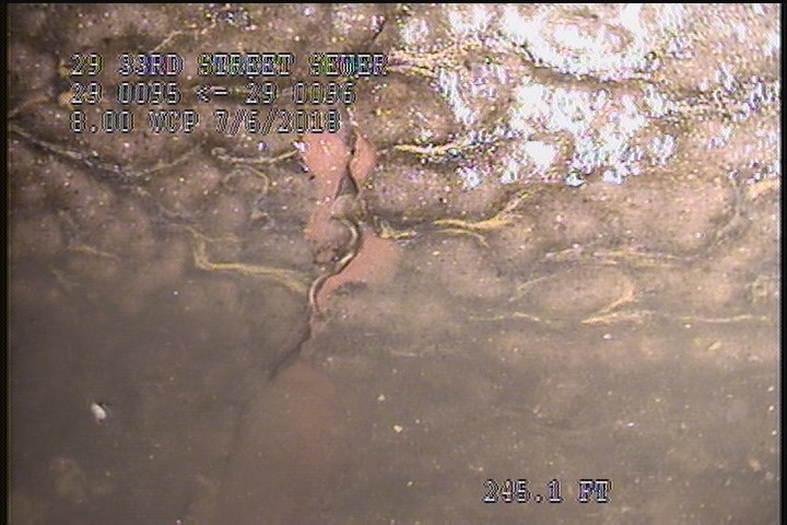 Fracture Circumferential, from 12 to 12 o'clock, within 8 inches of joint: YES