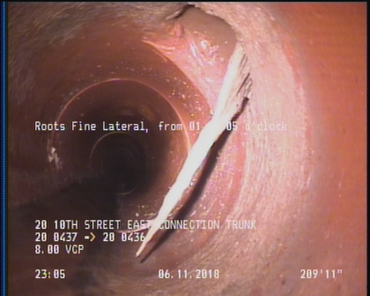 Roots Fine Lateral, from 01 to 05 o'clock