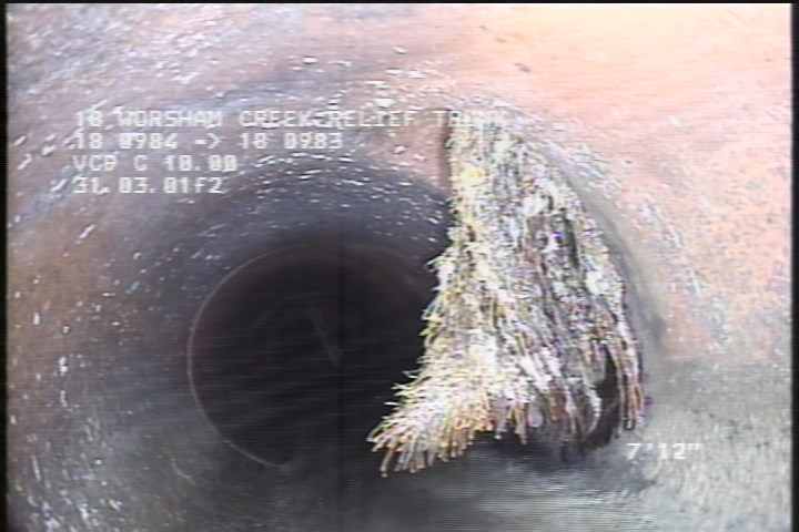 Roots Medium Lateral, from 01 to 05 o'clock, 25 %, within 8 inches of joint: YES