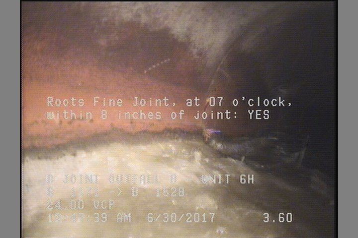 Roots Fine Joint, at 07 o'clock, within 8 inches of joint: YES