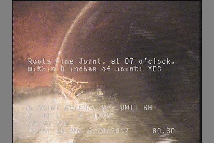 Roots Fine Joint, at 07 o'clock, within 8 inches of joint: YES