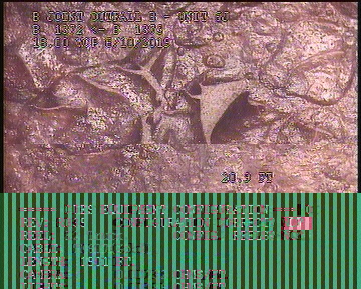 General Photograph - SMALL BLISTERS