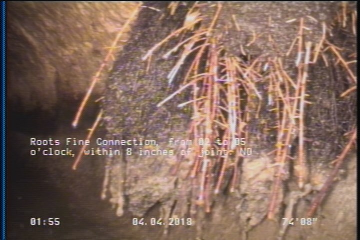 Roots Fine Connection, from 02 to 05 o'clock, within 8 inches of joint: NO