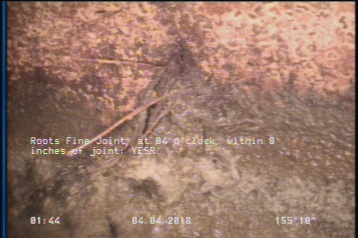 Roots Fine Joint, at 04 o'clock, within 8 inches of joint: YESR