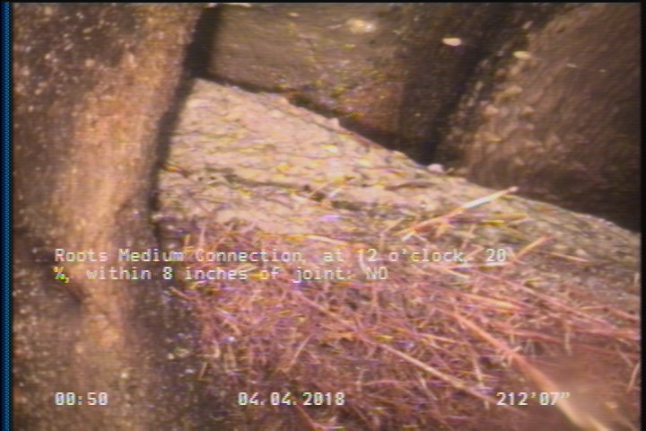 Roots Medium Connection, at 12 o'clock, 20 %, within 8 inches of joint: NO