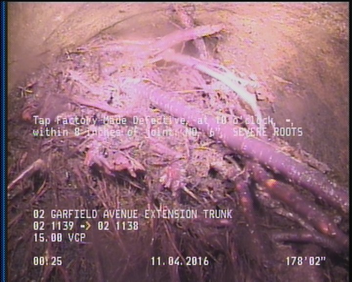 Tap Factory Made Defective, at 10 o'clock, -, within 8 inches of joint: NO, 6" - SEVERE ROOTS