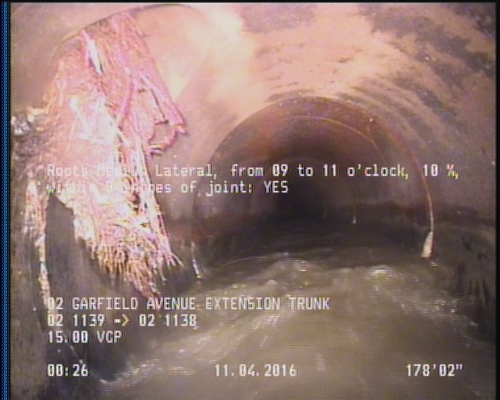 Roots Medium Lateral, from 09 to 11 o'clock, 10 %, within 8 inches of joint: YES