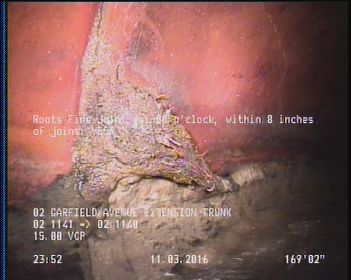Roots Fine Joint, at 08 o'clock, within 8 inches of joint: YESR