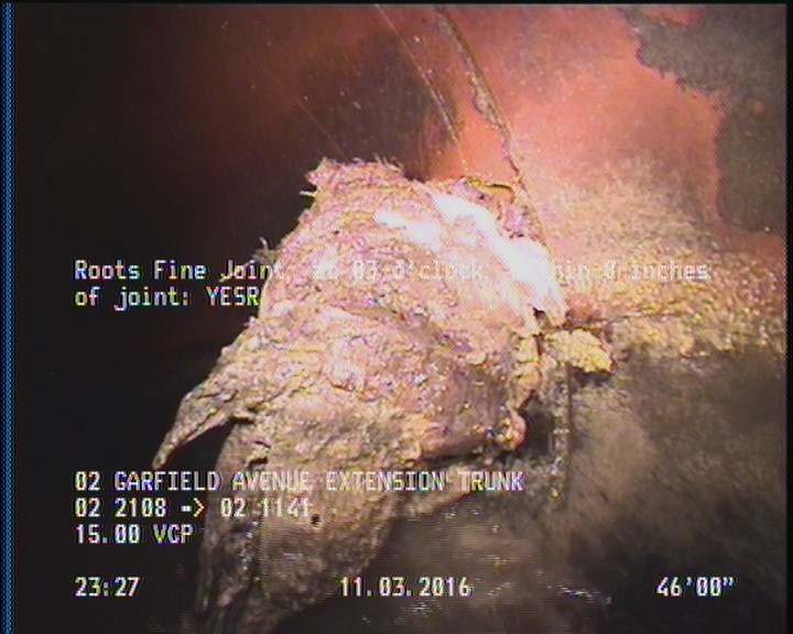Roots Fine Joint, at 03 o'clock, within 8 inches of joint: YESR